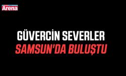 Güvercin severler Samsun'da buluştu