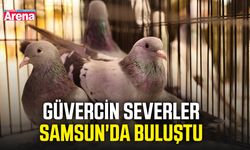Güvercin severler Samsun'da buluştu