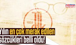 Yılın en çok merak edilen sözcükleri belli oldu!