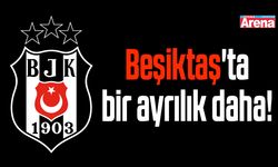 Beşiktaş'ta bir ayrılık daha!