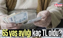 65 yaş aylığı kaç TL oldu?