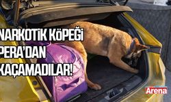 Samsun’da narkotik köpeği Pera’dan kaçamadılar!
