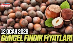 12 Ocak 2026 güncel fındık fiyatları