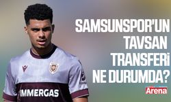 Samsunspor'un Tavsan transferi ne durumda?
