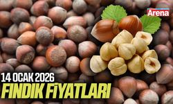 14 Ocak 2026 fındık fiyatları açıklandı