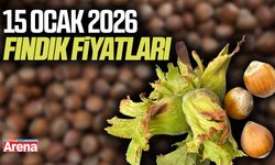15 Ocak 2026 fındık fiyatları güncellendi