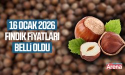 16 Ocak 2026 fındık fiyatları güncellendi