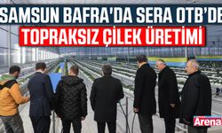 Samsun Bafra'da Sera OTB’de topraksız çilek üretimi