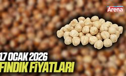 17 Ocak 2026 fındık fiyatları açıklandı: İl il güncel liste