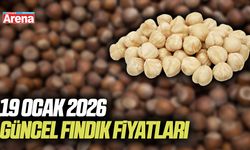 19 Ocak 2026 güncel fındık fiyatları