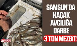 Samsun’da kaçak avcılığa darbe: 3 ton mezgit ele geçirildi
