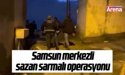 Samsun merkezli sazan sarmalı operasyonu
