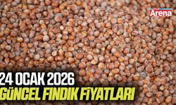 24 Ocak 2026 güncel fındık fiyatları