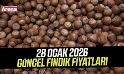 28 Ocak 2026 güncel fındık fiyatları