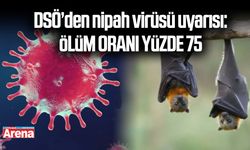 DSÖ’den nipah virüsü uyarısı: Ölüm oranı yüzde 75