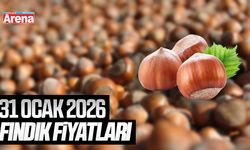 31 Ocak 2026 güncel fındık fiyatları