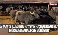 19 Mayıs'ta hayvan hastalıklarıyla mücadele aralıksız sürüyor