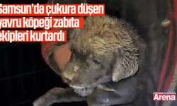 Samsun’da çukura düşen yavru köpeği zabıta ekipleri kurtardı