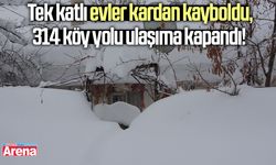 Tek katlı evler kardan kayboldu, 314 köy yolu ulaşıma kapandı!