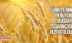 Türkiye’nin en büyük buğday tedarikçisi Rusya oldu