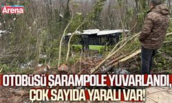 Otobüsü şarampole yuvarlandı, çok sayıda yaralı var!