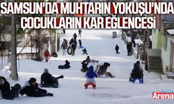 Samsun'da Muhtarın Yokuşu'nda çocukların kar eğlencesi