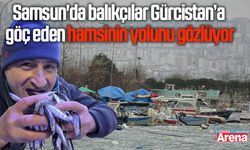 Samsun'da balıkçılar Gürcistan’a göç eden hamsinin yolunu gözlüyor