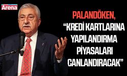 Palandöken: "Kredi kartlarına yapılandırma piyasları canlandıracak"
