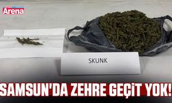 Samsun'da zehir operasyonu!