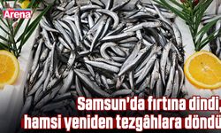 Samsun'da fırtına dindi, hamsi yeniden tezgâhlara döndü
