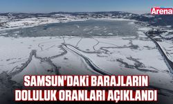 Samsun'daki barajların doluluk oranları açıklandı
