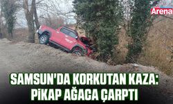 Samsun'da korkutan kaza: Pikap ağaca çarptı
