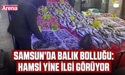 Samsun’da balık bolluğu: Hamsi yine ilgi görüyor