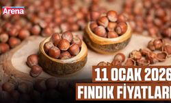 11 Ocak 2026 güncel fındık fiyatları