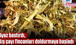 Ayaz bastırdı, Kış çayı fincanları doldurmaya başladı