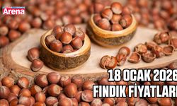 18 Ocak 2026 fındık fiyatları açıklandı: İl il güncel liste