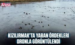 Kızılırmak’ta yaban ördekleri dronla görüntülendi