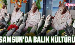 Samsun'da balık kültürü