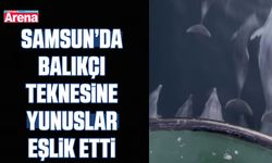 Samsun’da balıkçı teknesine yunuslar eşlik etti