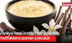 Vanilya nasıl üretilir? Bir çiçekten mutfaklara uzanan yolculuk