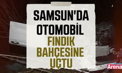 Samsun'da otomobil fındık bahçesine uçtu