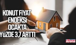 Konut Fiyat Endeksi ocakta yüzde 3,7 arttı