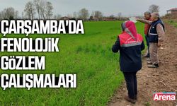 Çarşamba'da fenolojik gözlem çalışmaları