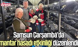 Samsun Çarşamba’da mantar hasadı etkinliği düzenlendi