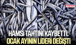 Hamsi tahtını kaybetti: Ocak ayının lideri değişti