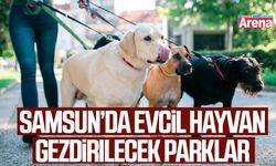 Samsun’da evcil hayvan gezdirilecek parklar