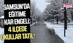 Samsun'da eğitime kar engeli: 4 ilçede okullar tatil!