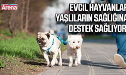 Evcil hayvanlar yaşlıların sağlığına destek sağlıyor