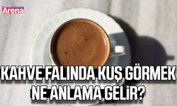 Kahve falında kuş görmek ne anlama gelir?