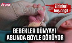 Bebekler dünyayı aslında böyle görüyor
